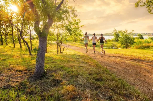 $820,000 | 2924 Stonefield, The Colony, TX 75056