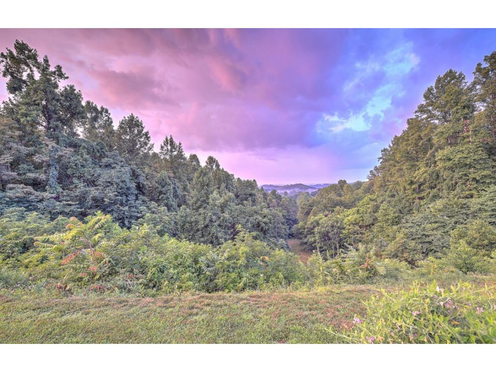 489 Hidden Acres Road Kingsport, TN 37664 - Photo 30 of 30 Photo 30