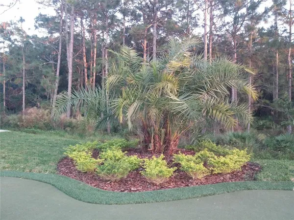 $2,995 | 20044 Date Palm Way, Tampa, FL 33647