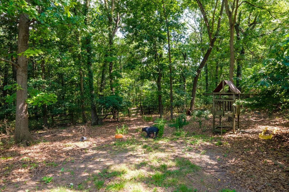 14731 Quartermile Road Timberville, VA 22853 - Photo 11 of 21 Gallery Image 11