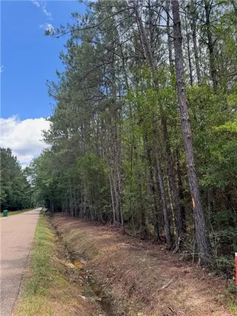 $79,000 | Tbd Lavinghouse Road, Bush, LA 70431