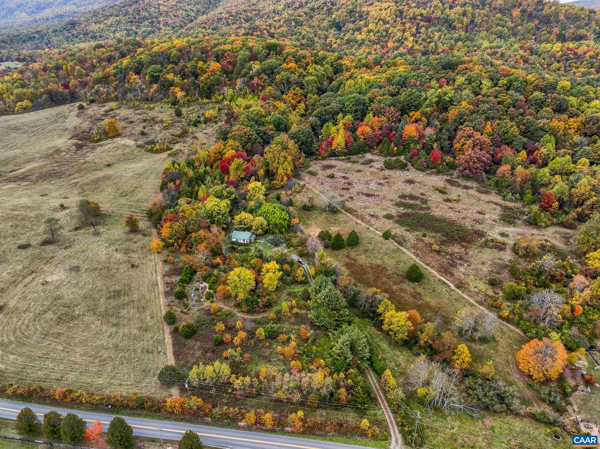2552 White Hall Road Crozet, VA 22932 - Photo 2 of 27 a view of a plants