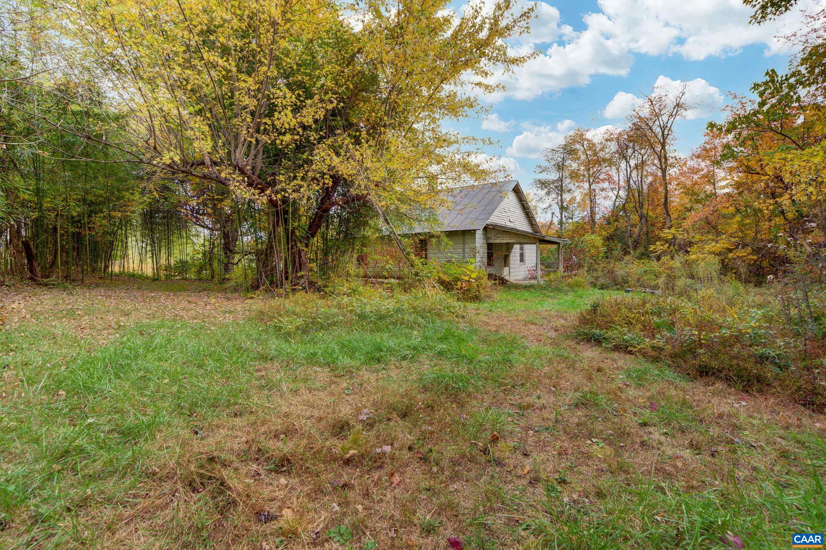 2552 White Hall Road Crozet, VA 22932 - Photo 23 of 27 a view of a yard with plants and large trees