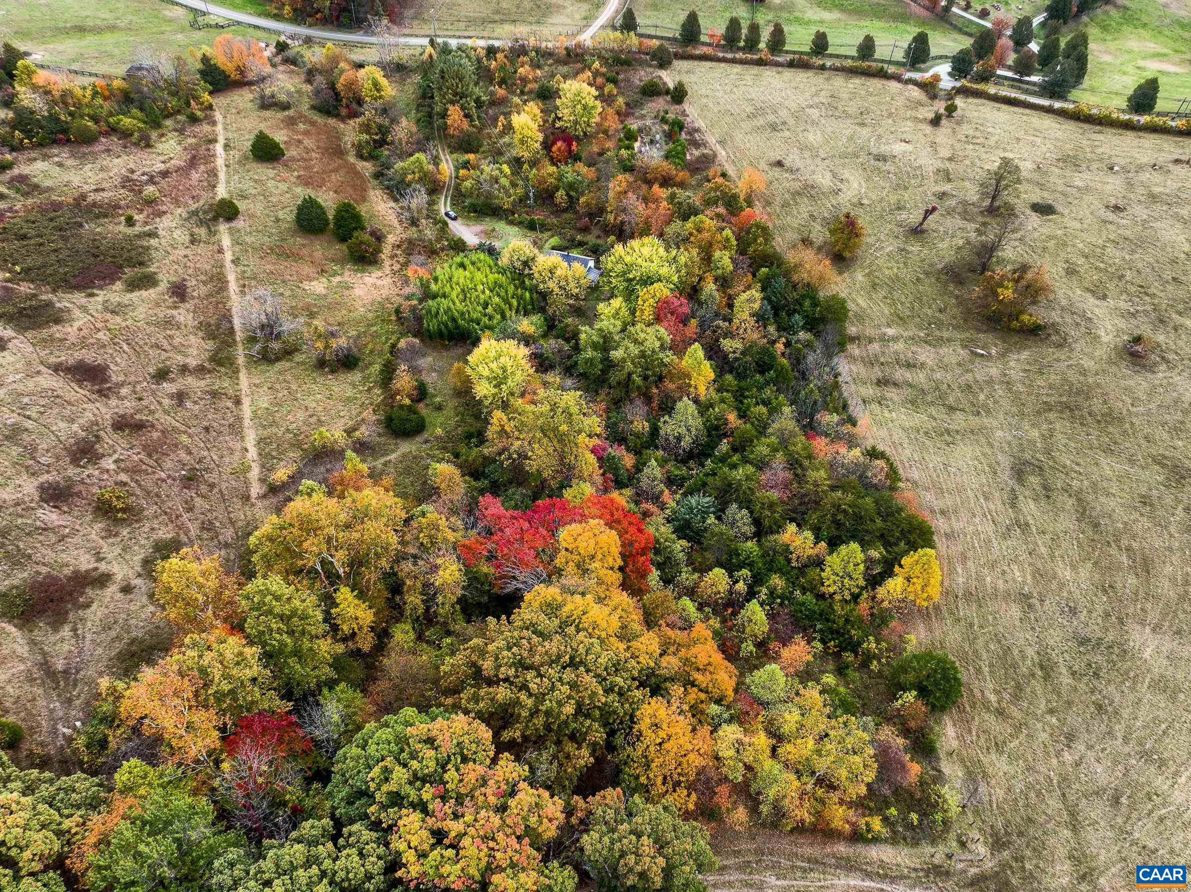 2552 White Hall Road Crozet, VA 22932 - Photo 3 of 27 a view of a dry yard