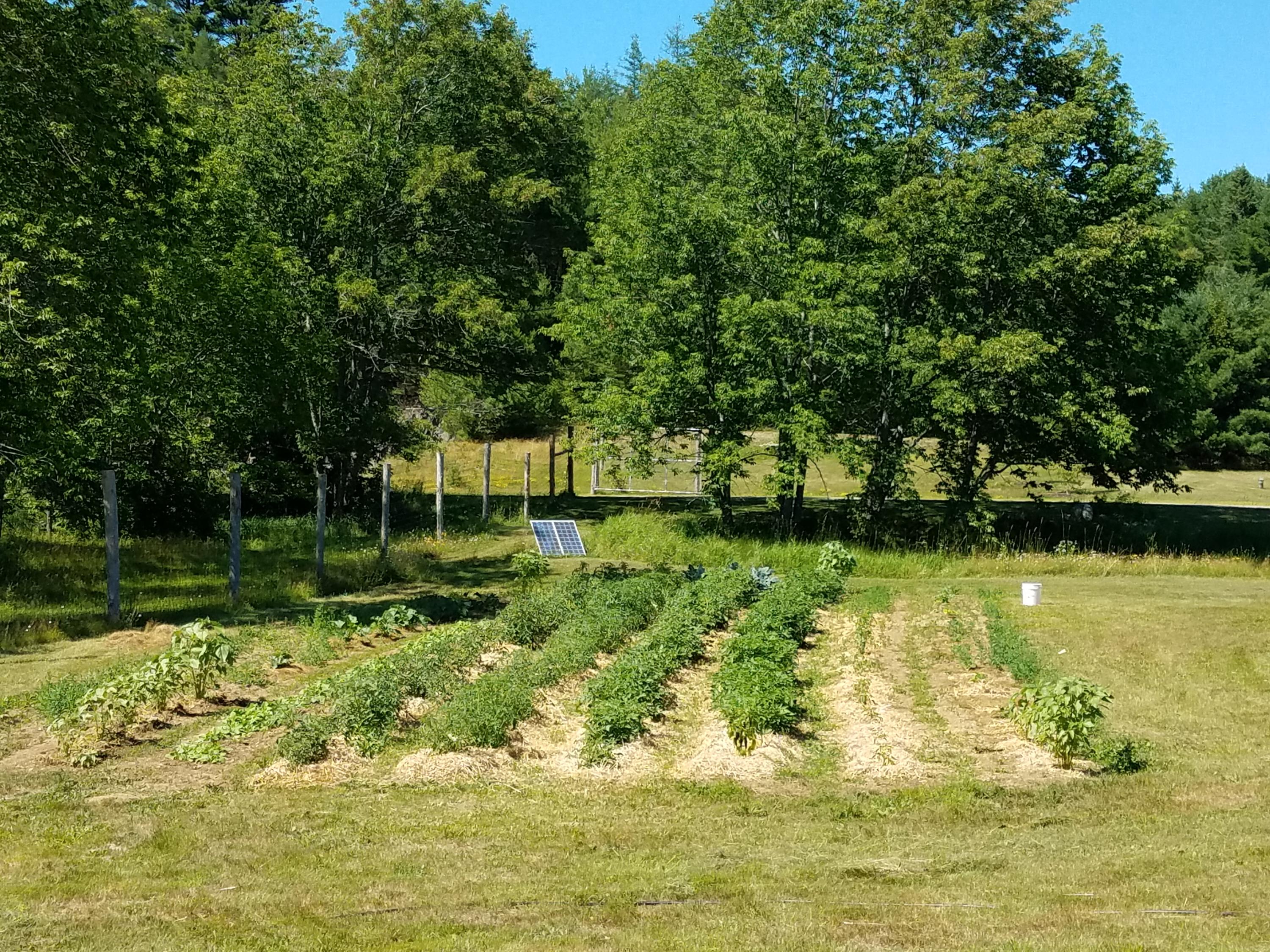 487 Airline Road Ellsworth, ME 04605 - Photo 52 of 61 Garden