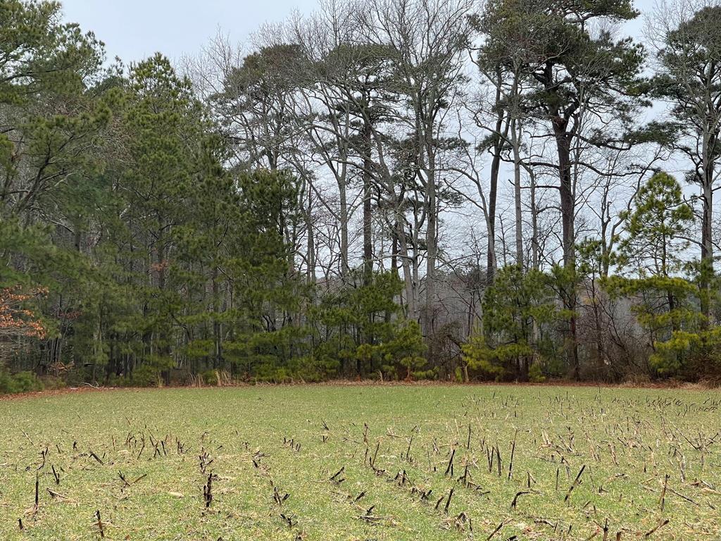Lot 112 Clark Street Parksley, VA 23421 - Photo 1 of 3