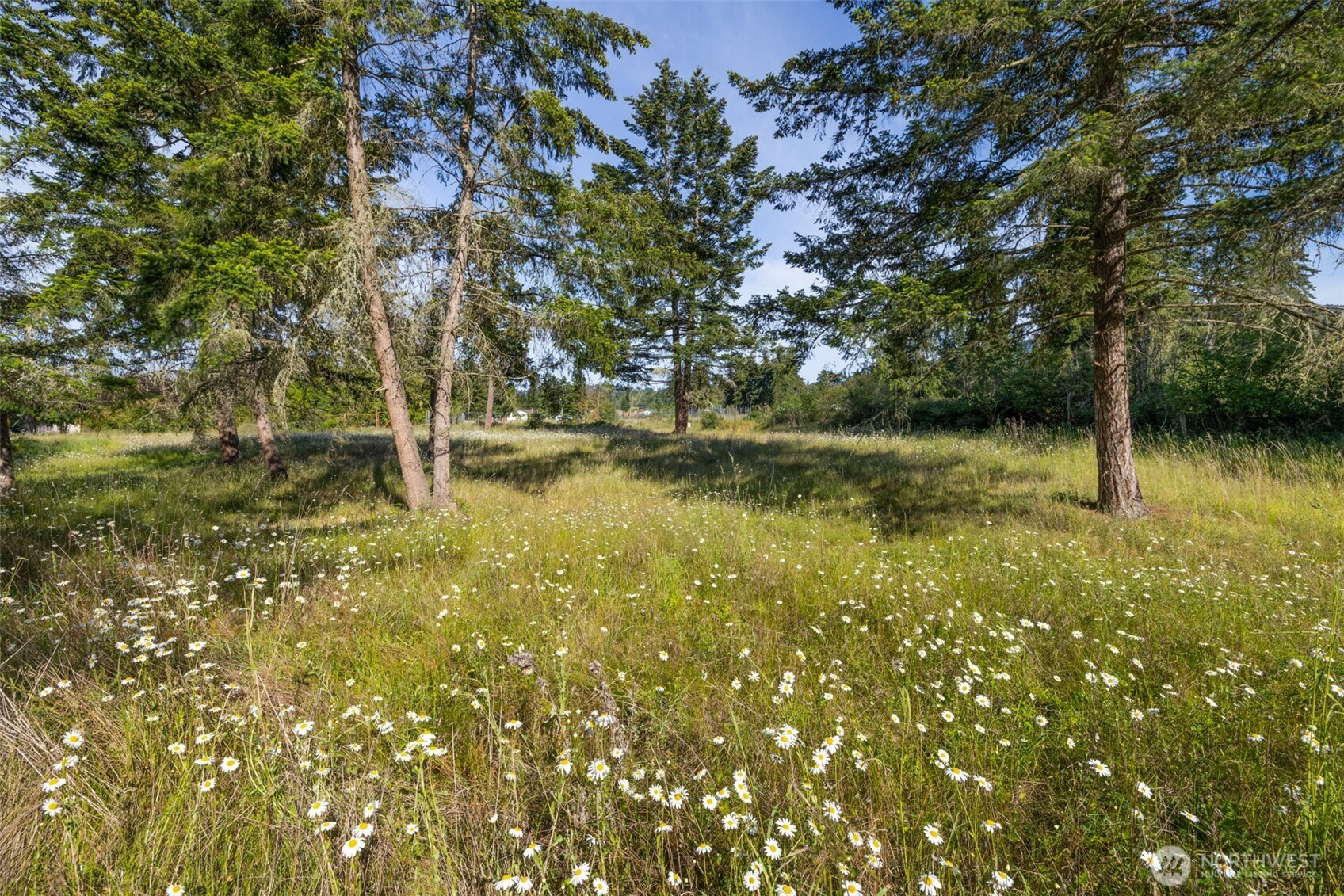 405 Riverside Road, Unit LOT C Sequim, WA 98382 - Photo 31 of 39