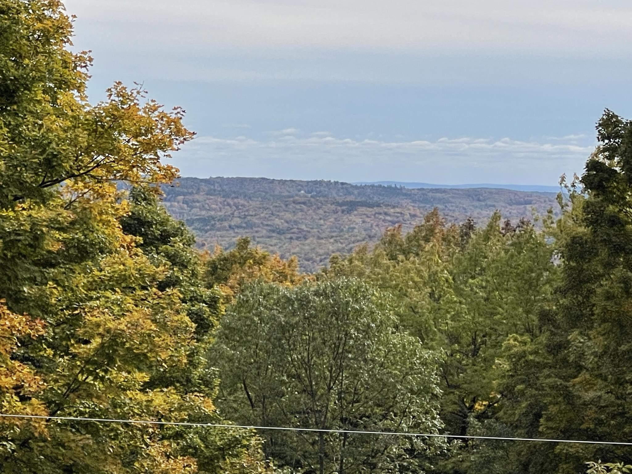 47 Snow Shoe Road Wilmington, VT 05363 - Photo 1 of 39 Gallery Image 1