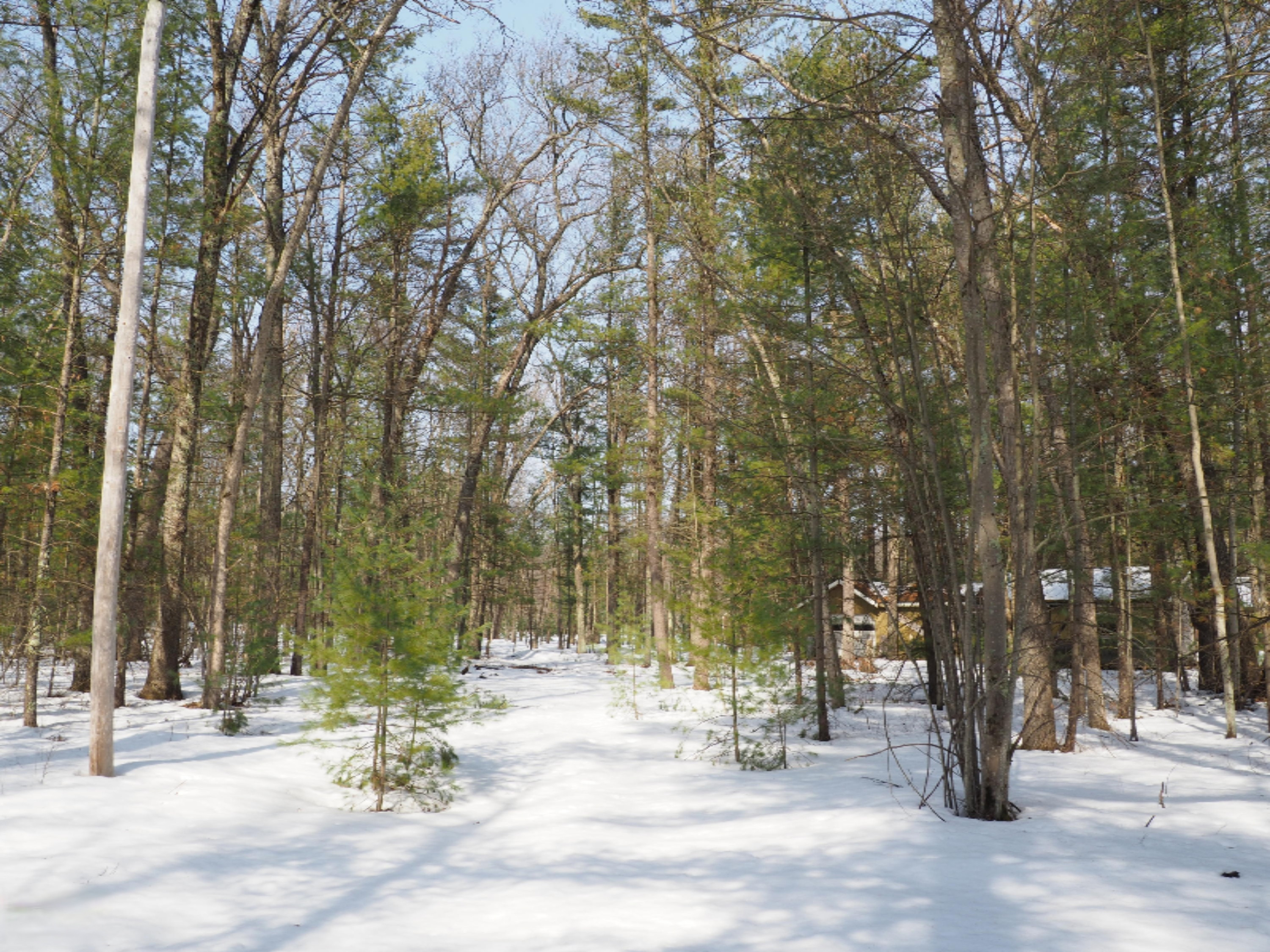 353 North Kettle Hole Road Manistee, MI 49660 - Photo 11 of 26 P3070962