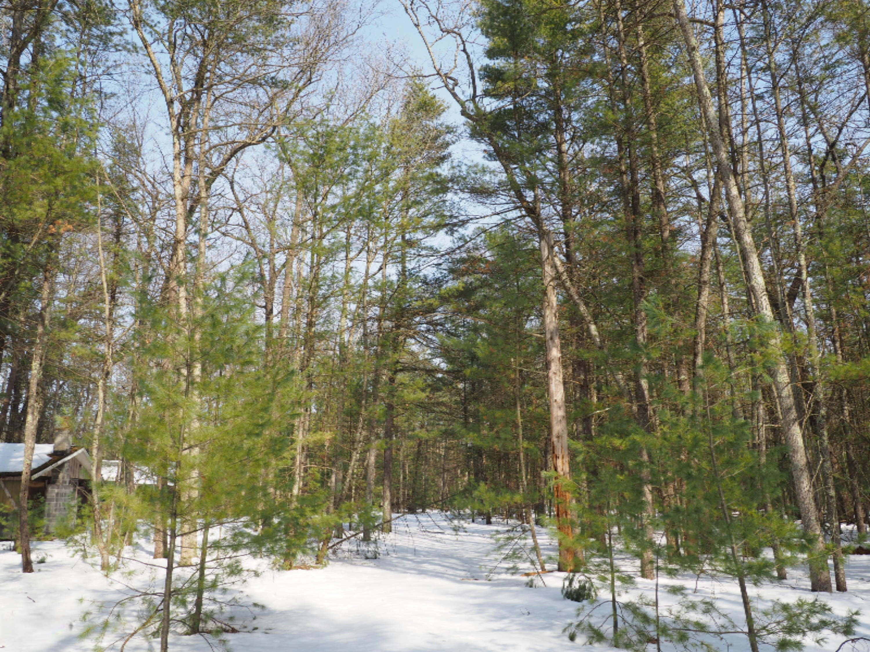 353 North Kettle Hole Road Manistee, MI 49660 - Photo 12 of 26 P3070963