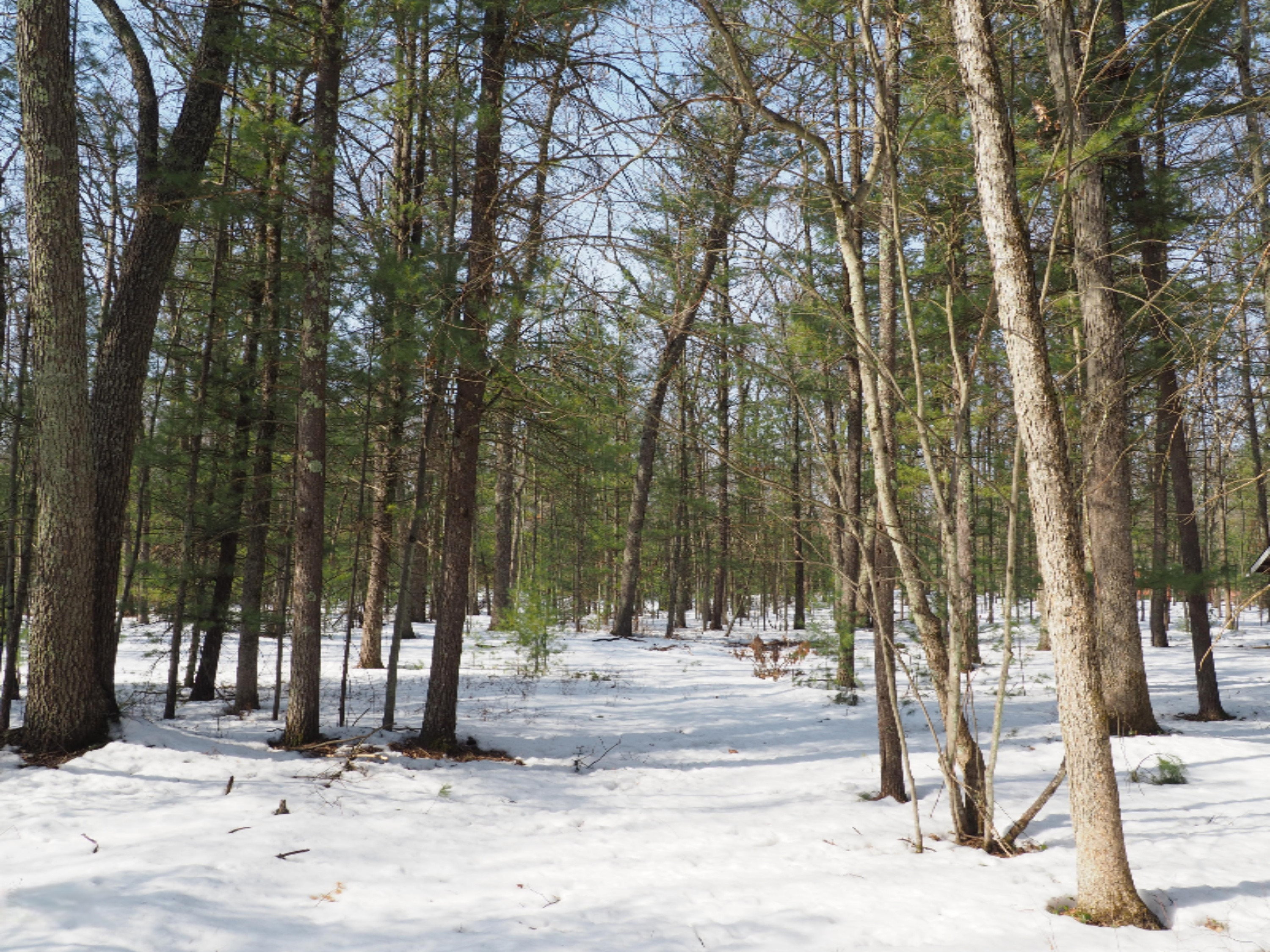 353 North Kettle Hole Road Manistee, MI 49660 - Photo 14 of 26 P3070965