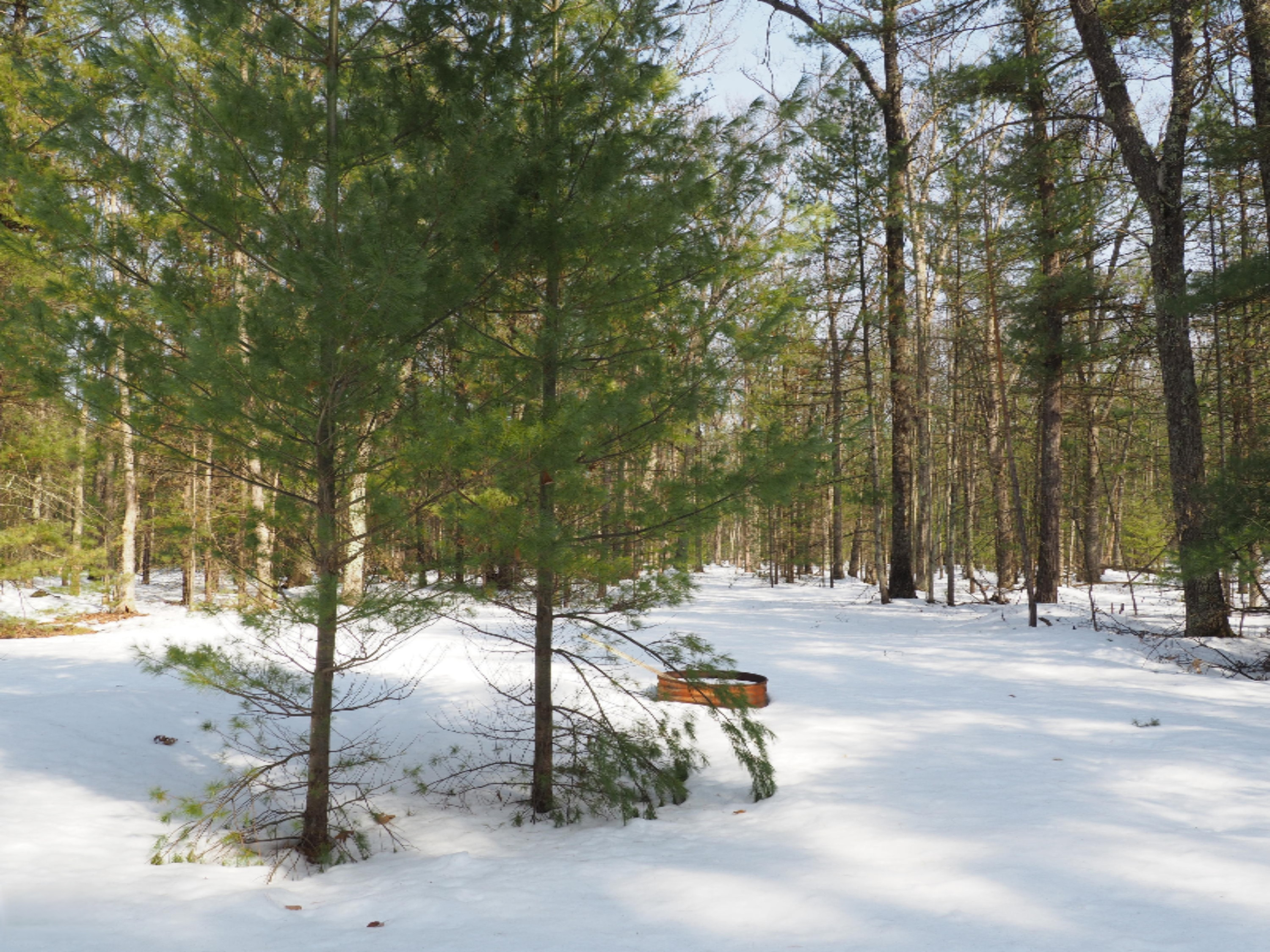 353 North Kettle Hole Road Manistee, MI 49660 - Photo 16 of 26 P3070969