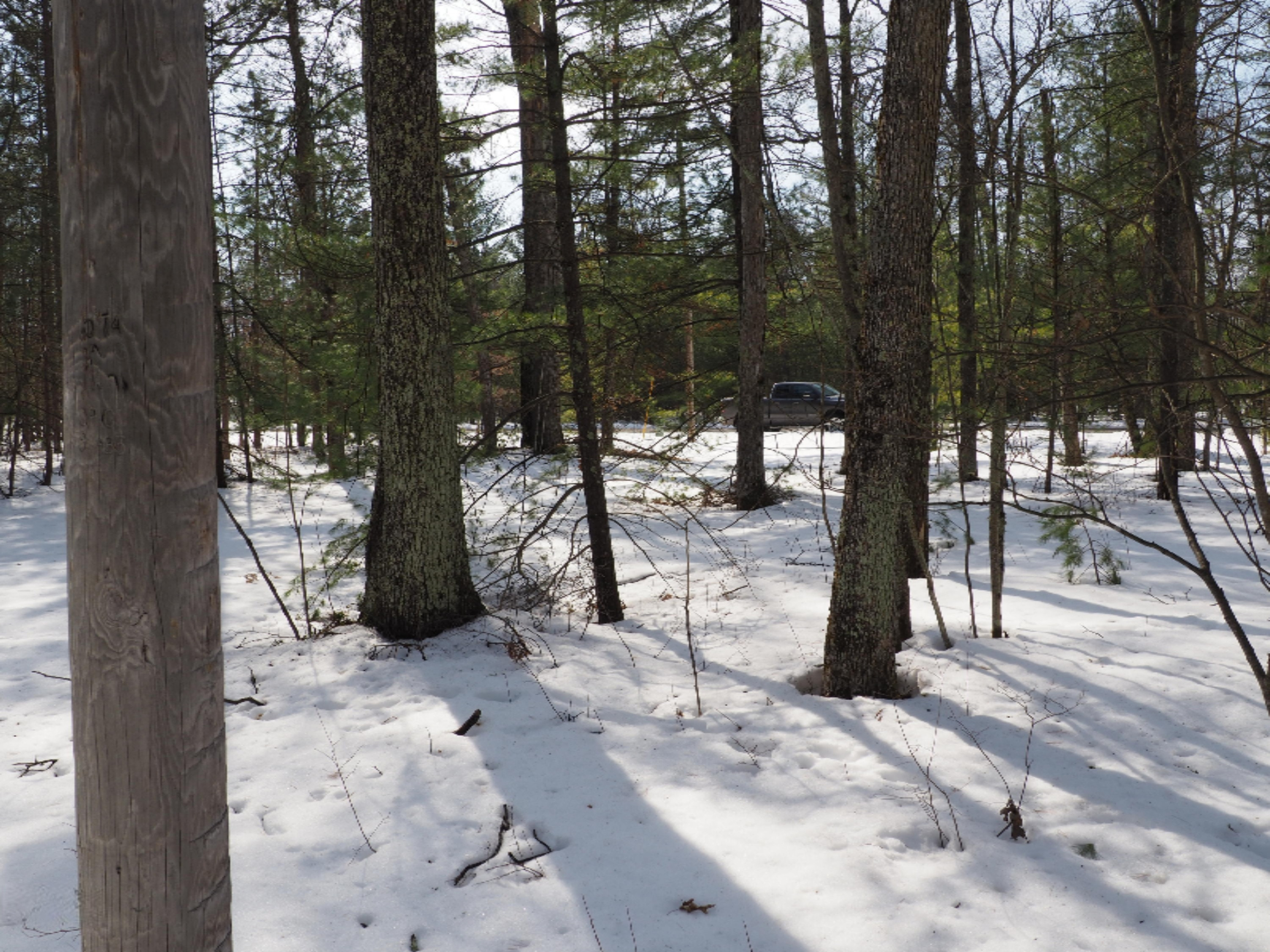 353 North Kettle Hole Road Manistee, MI 49660 - Photo 25 of 26 P3070979