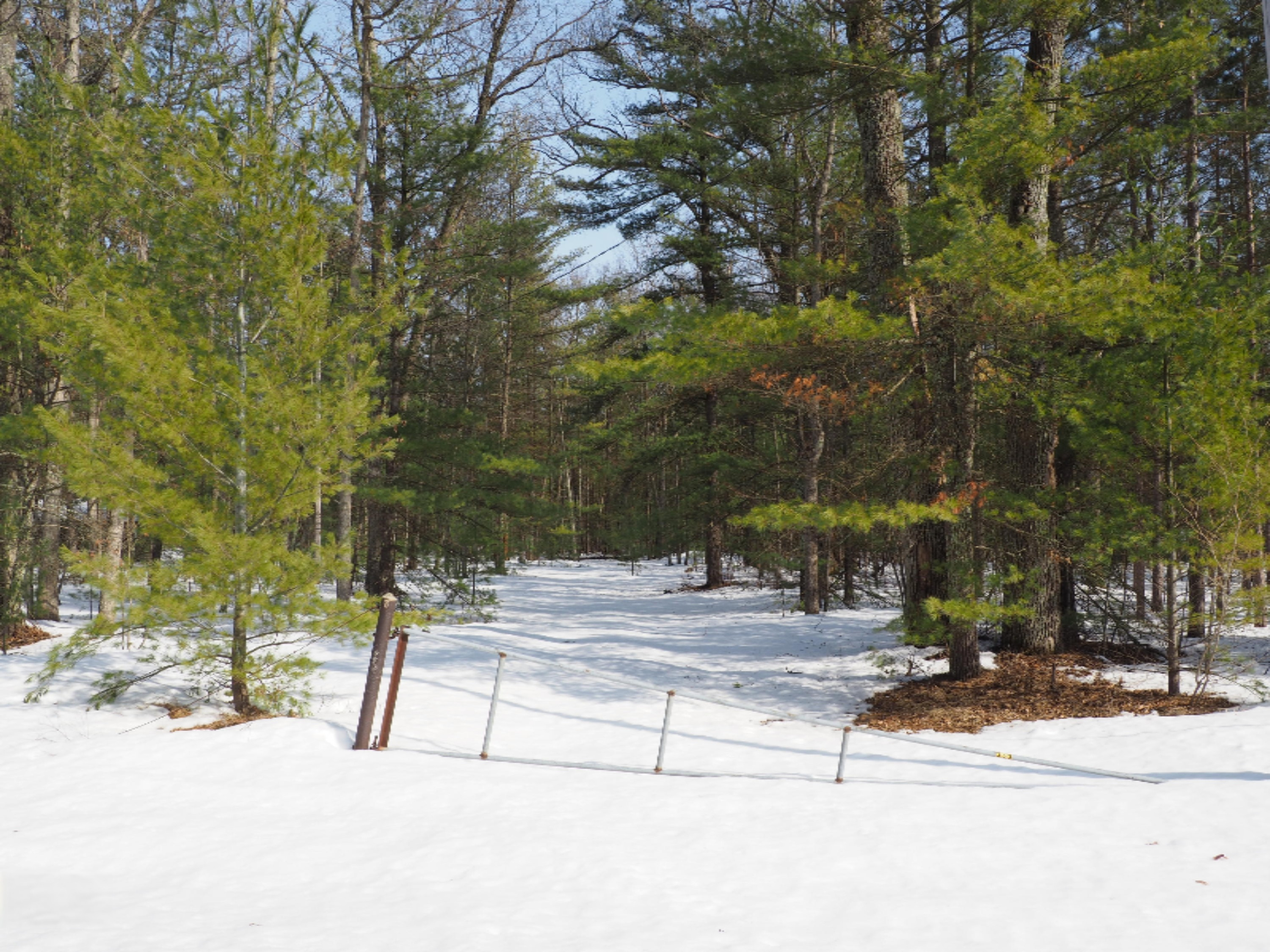 353 North Kettle Hole Road Manistee, MI 49660 - Photo 5 of 26 P3070956
