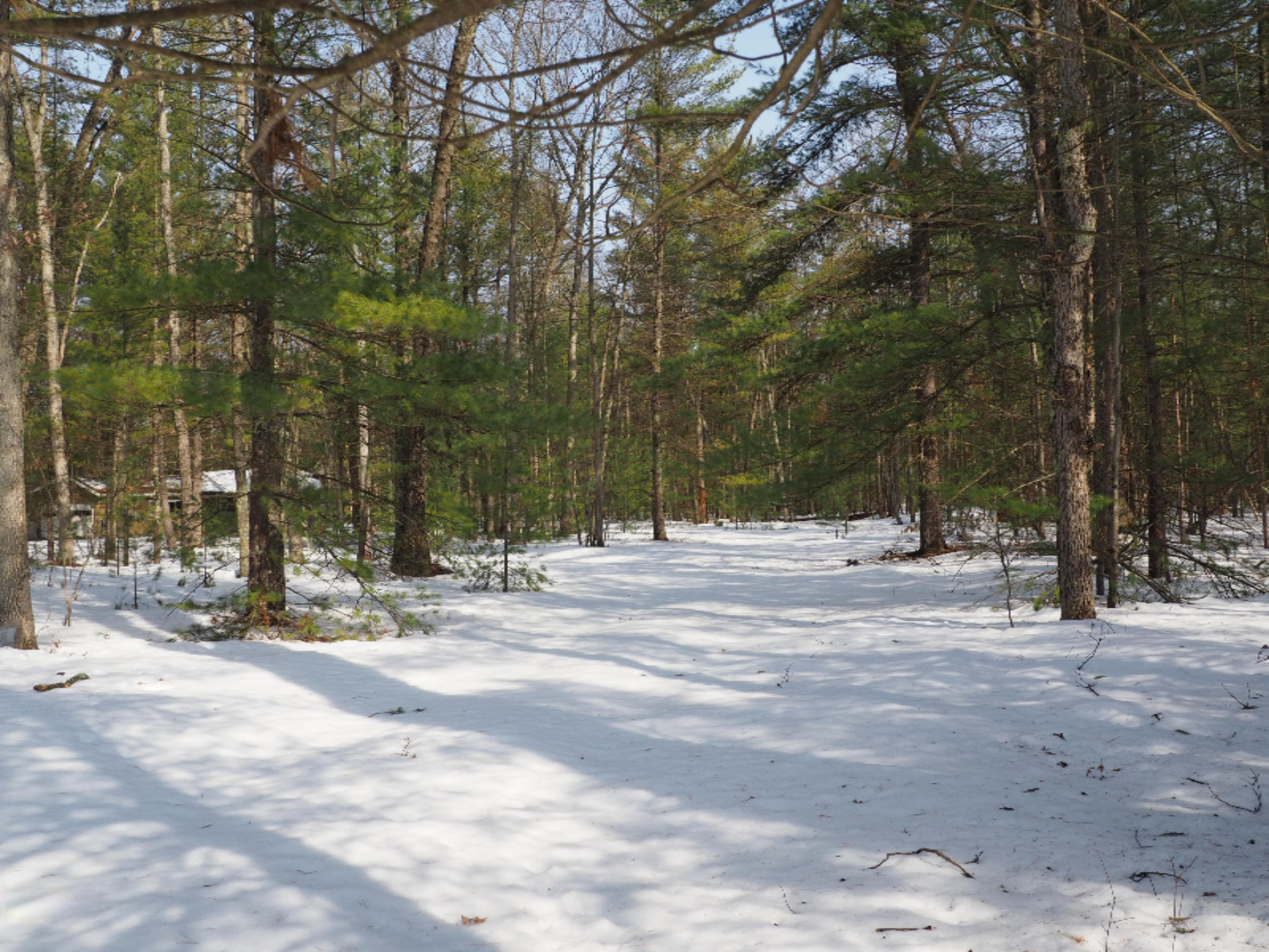 353 North Kettle Hole Road Manistee, MI 49660 - Photo 7 of 26 P3070958