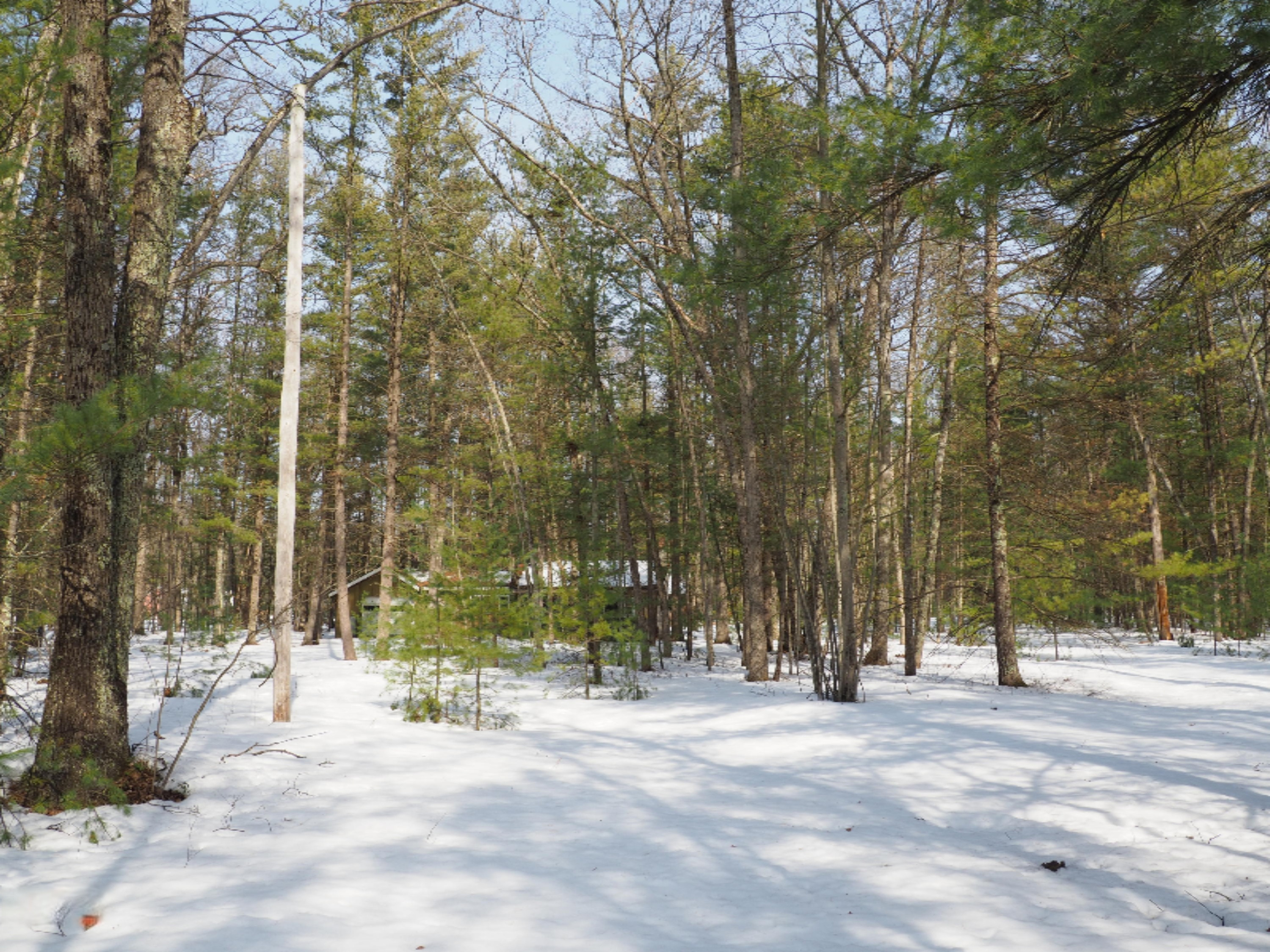 353 North Kettle Hole Road Manistee, MI 49660 - Photo 8 of 26 P3070959