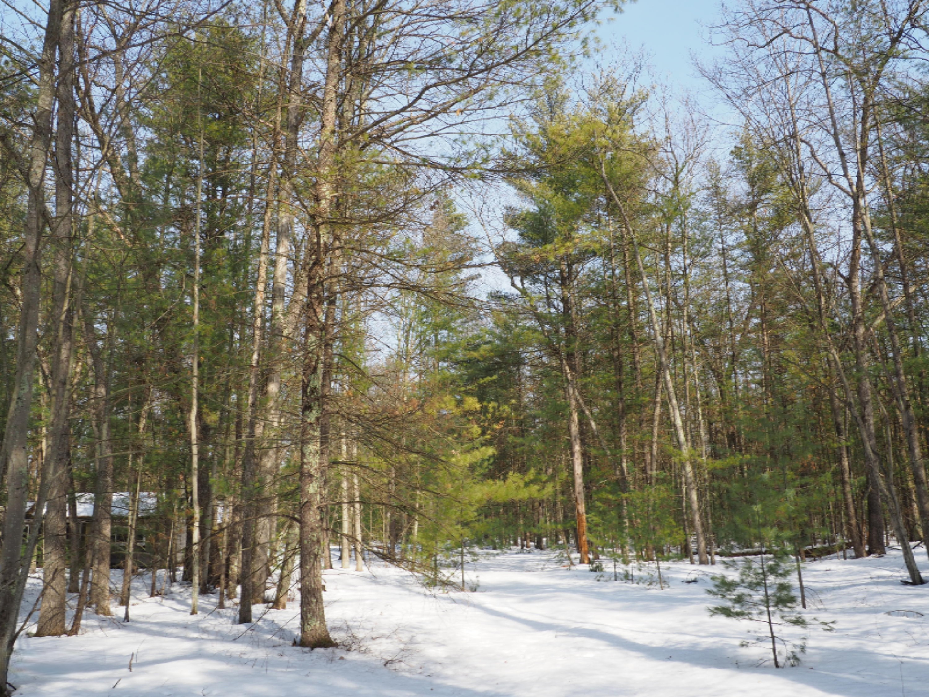 353 North Kettle Hole Road Manistee, MI 49660 - Photo 10 of 26 P3070961