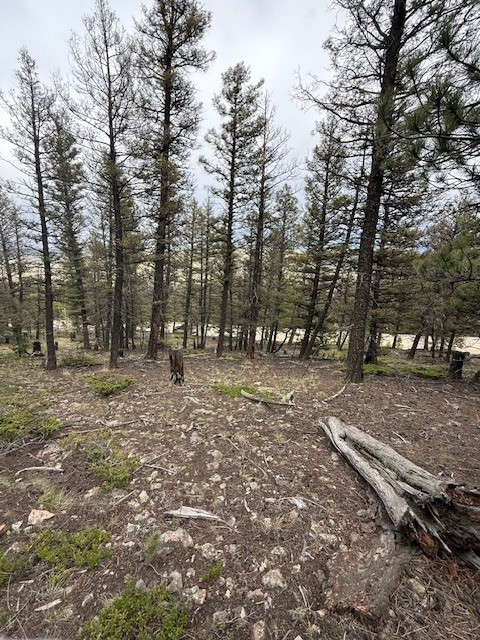a view of outdoor space with trees