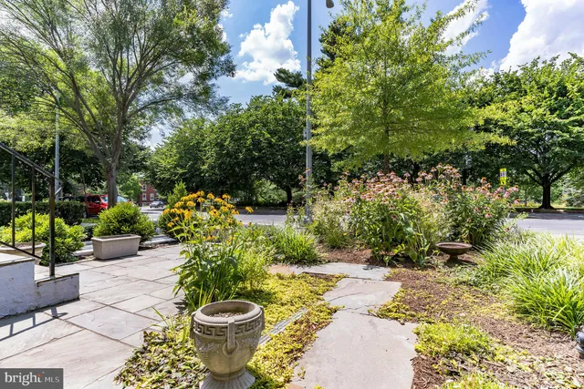 a view of a backyard with plants and fountain