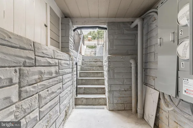 a view of a backyard with garden and plants