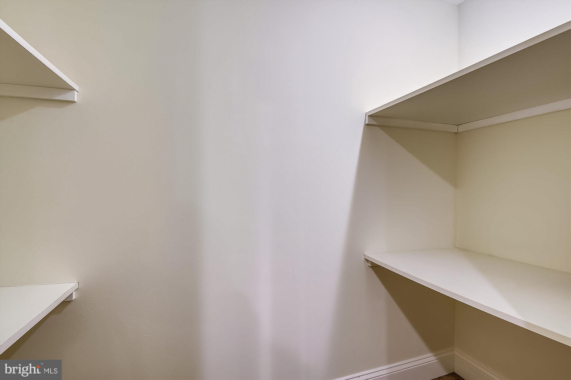 210 East Hamilton Avenue Silver Spring, MD 20901 - Photo 39 of 81