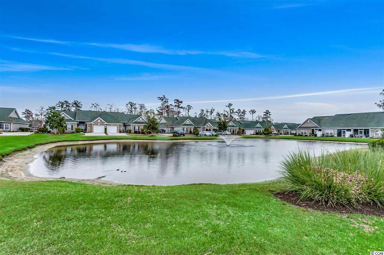 135 Chenoa Drive, Unit C Murrells Inlet, SC 29576 - Photo 4 of 25 Gallery Image 4