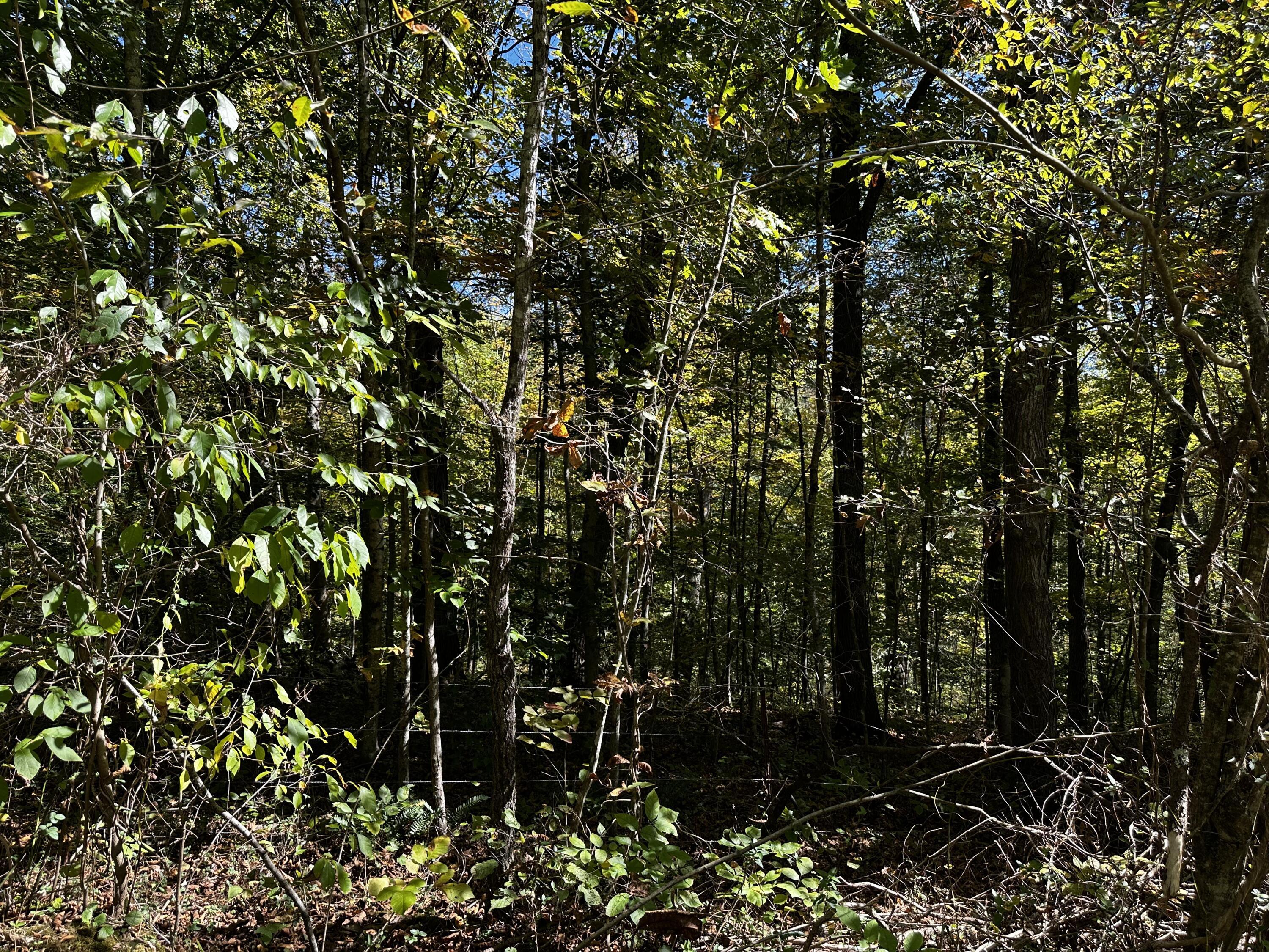 865 Hull Road, Unit TRACT 13 WOODS WAYNE FOREST) Patriot, OH 45658 - Photo 27 of 57 20241008_175248742_iOS