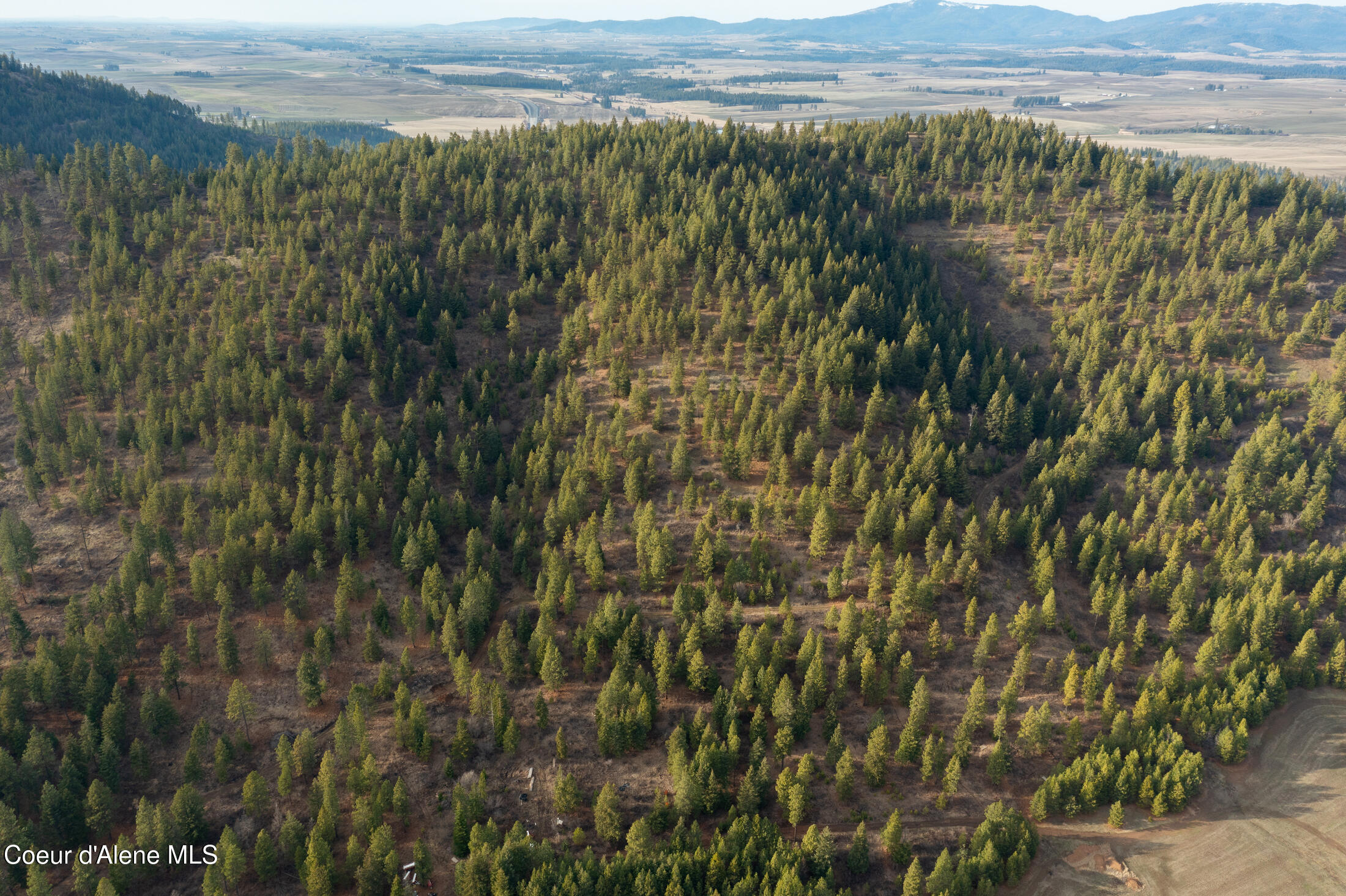 15 Acres Worley, ID 83876 - Photo 11 of 20 DJI_0365-HDR-11