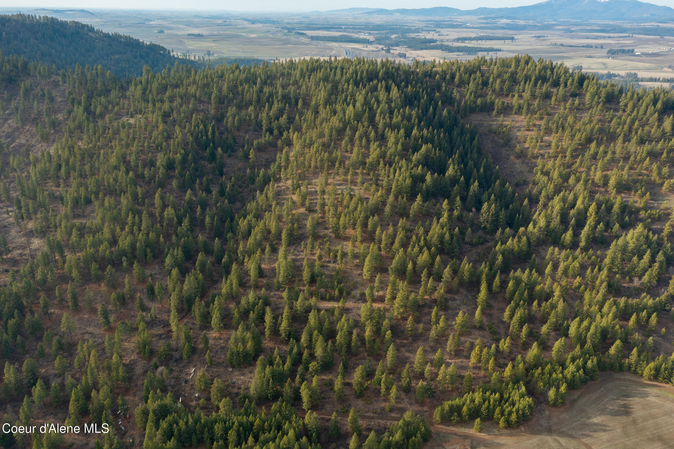 15 Acres Worley, ID 83876 - Photo 12 of 20 DJI_0369-HDR-12