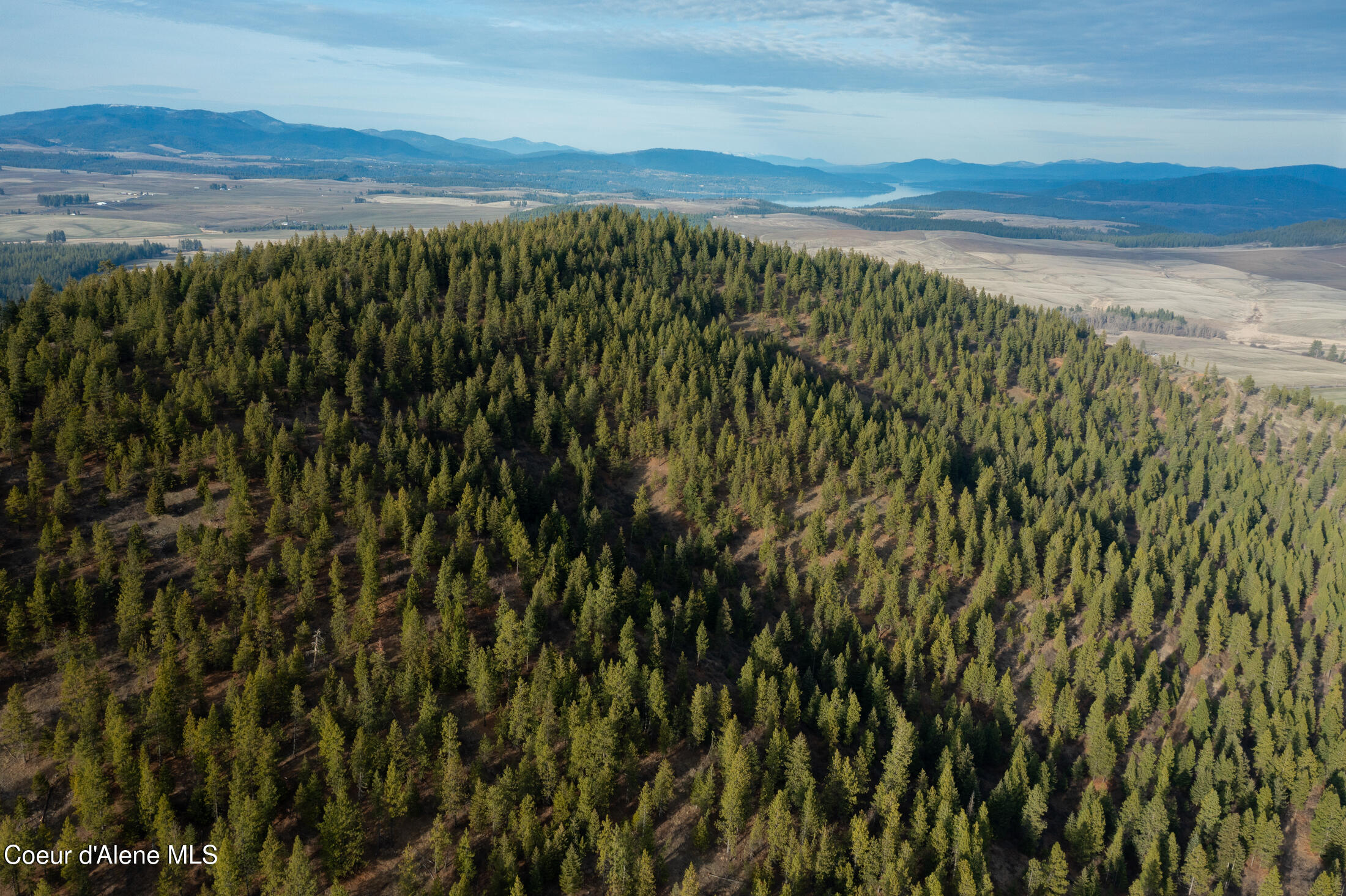 15 Acres Worley, ID 83876 - Photo 13 of 20 DJI_0359-HDR-9
