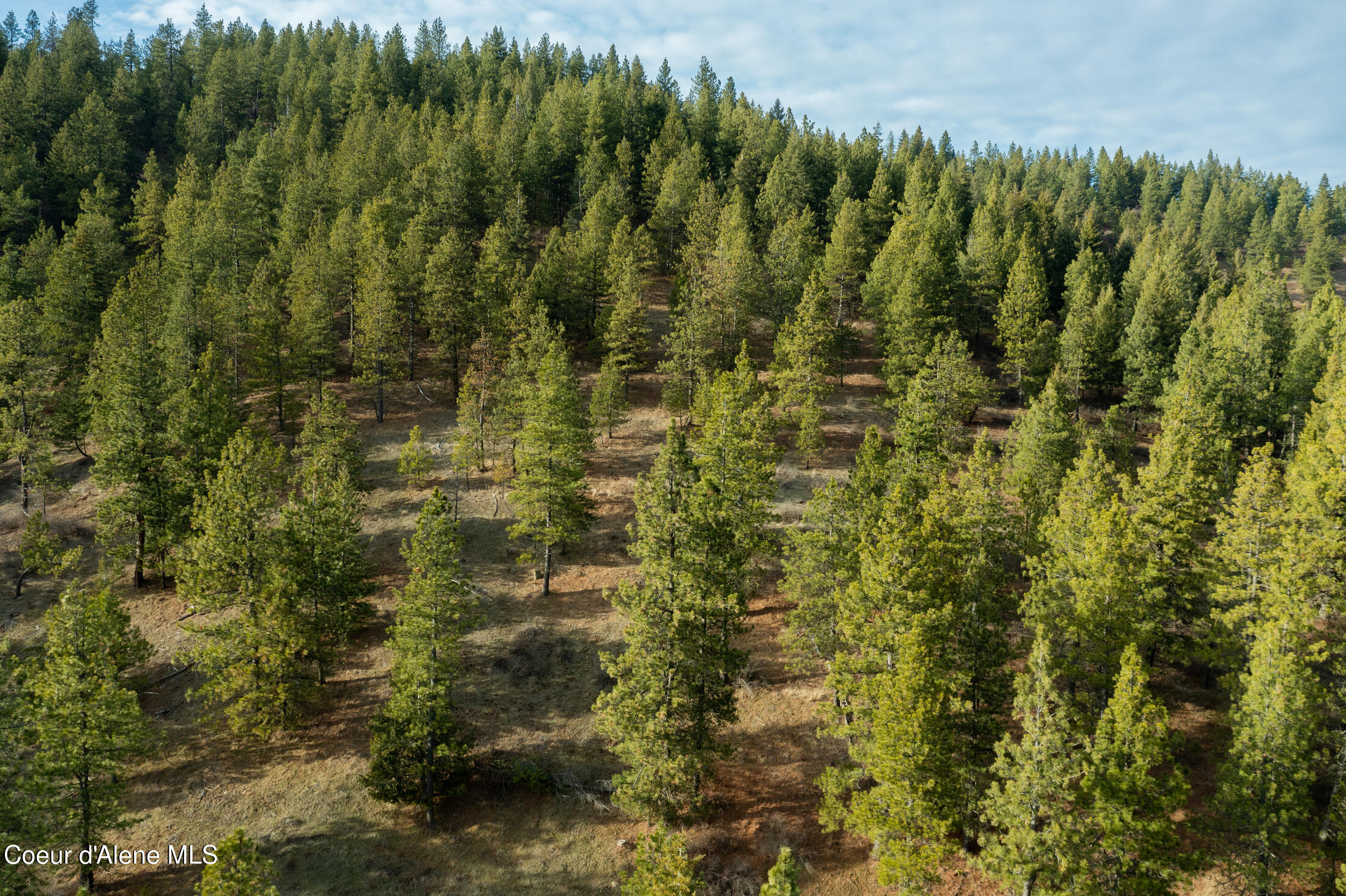 15 Acres Worley, ID 83876 - Photo 3 of 20 DJI_0327-HDR-8