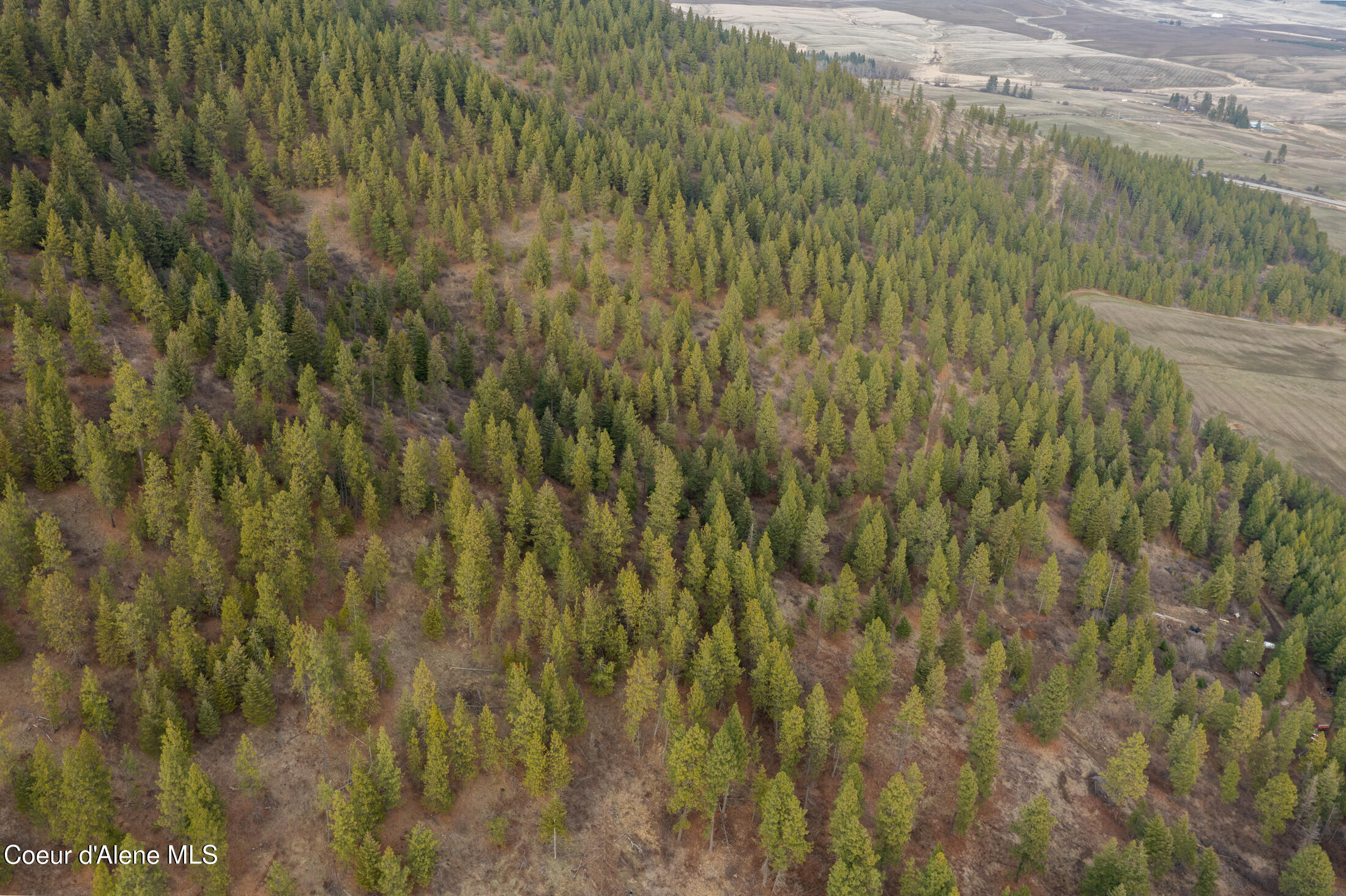 15 Acres Worley, ID 83876 - Photo 4 of 20 DJI_0272-HDR-1