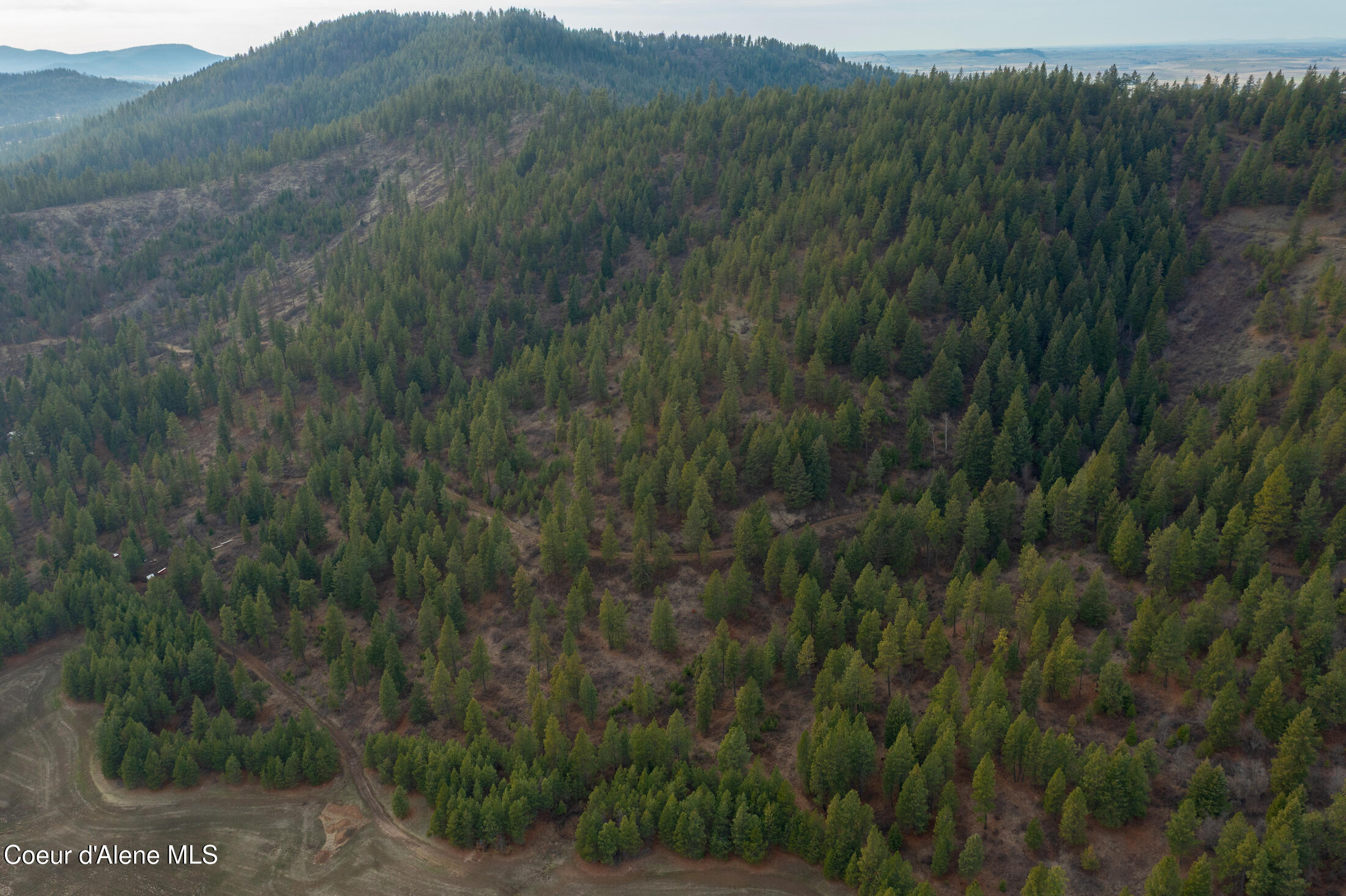 15 Acres Worley, ID 83876 - Photo 5 of 20 DJI_0292-HDR-6