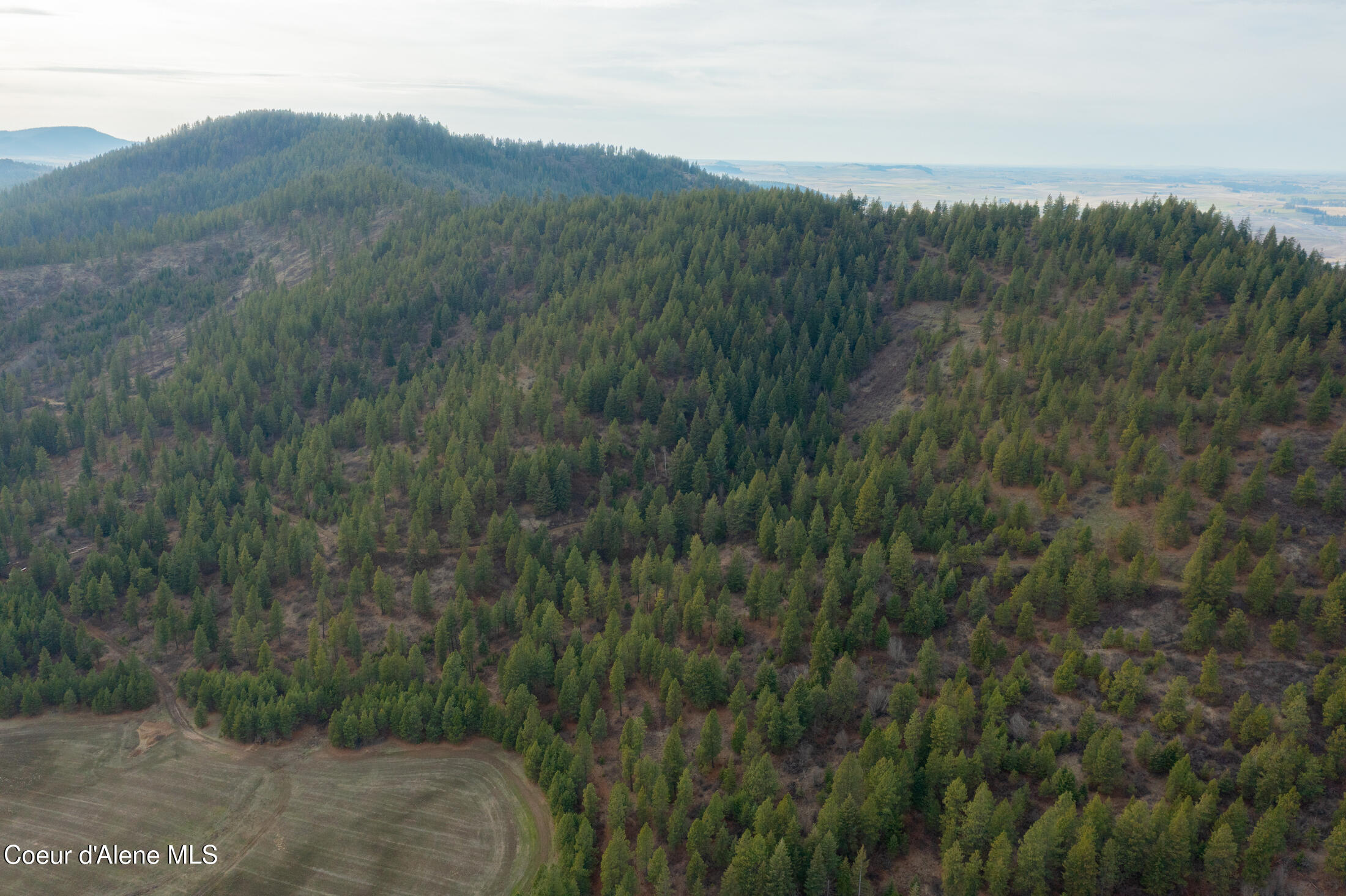 15 Acres Worley, ID 83876 - Photo 6 of 20 DJI_0288-HDR-5