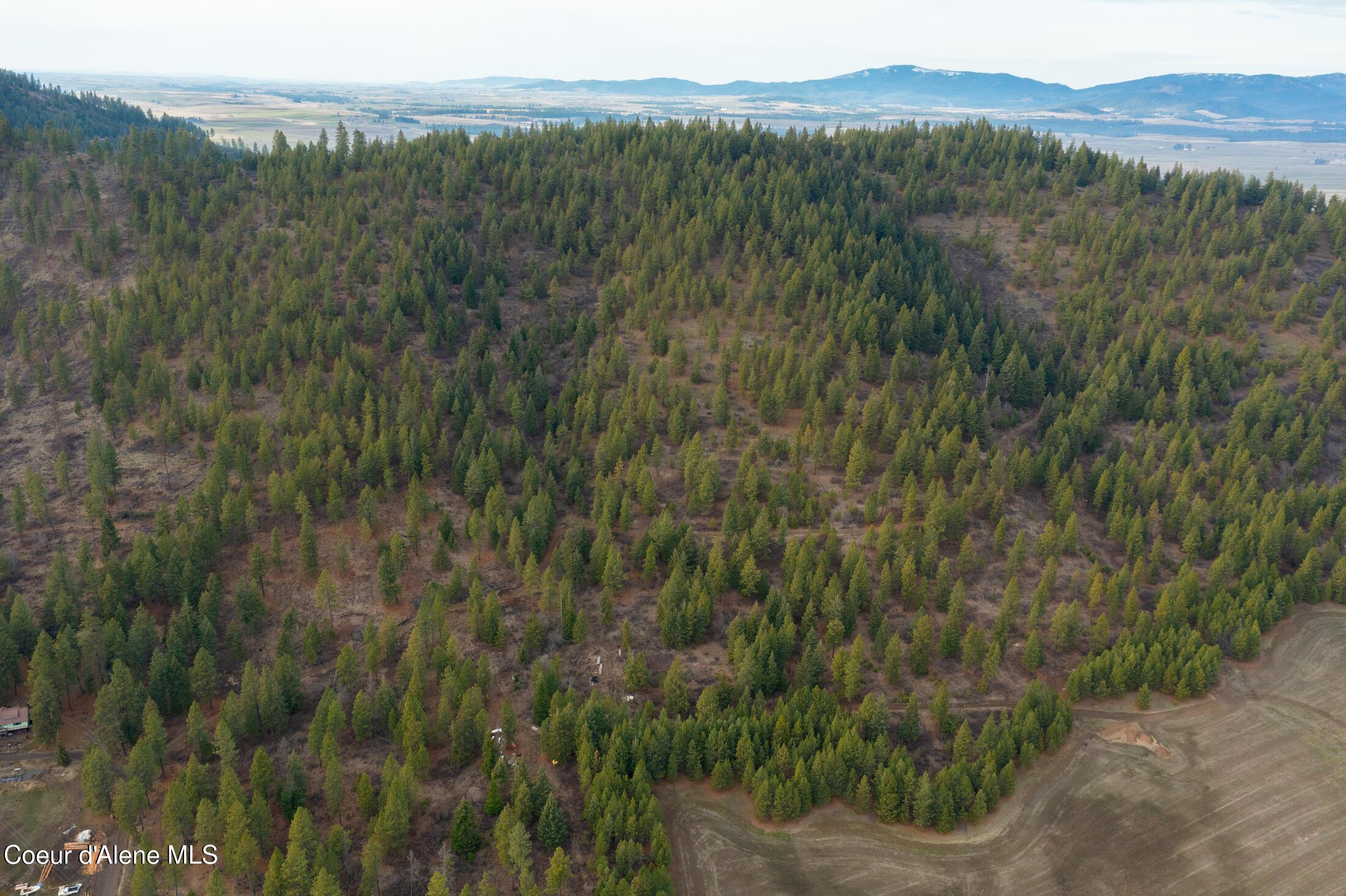 15 Acres Worley, ID 83876 - Photo 7 of 20 DJI_0280-HDR-3