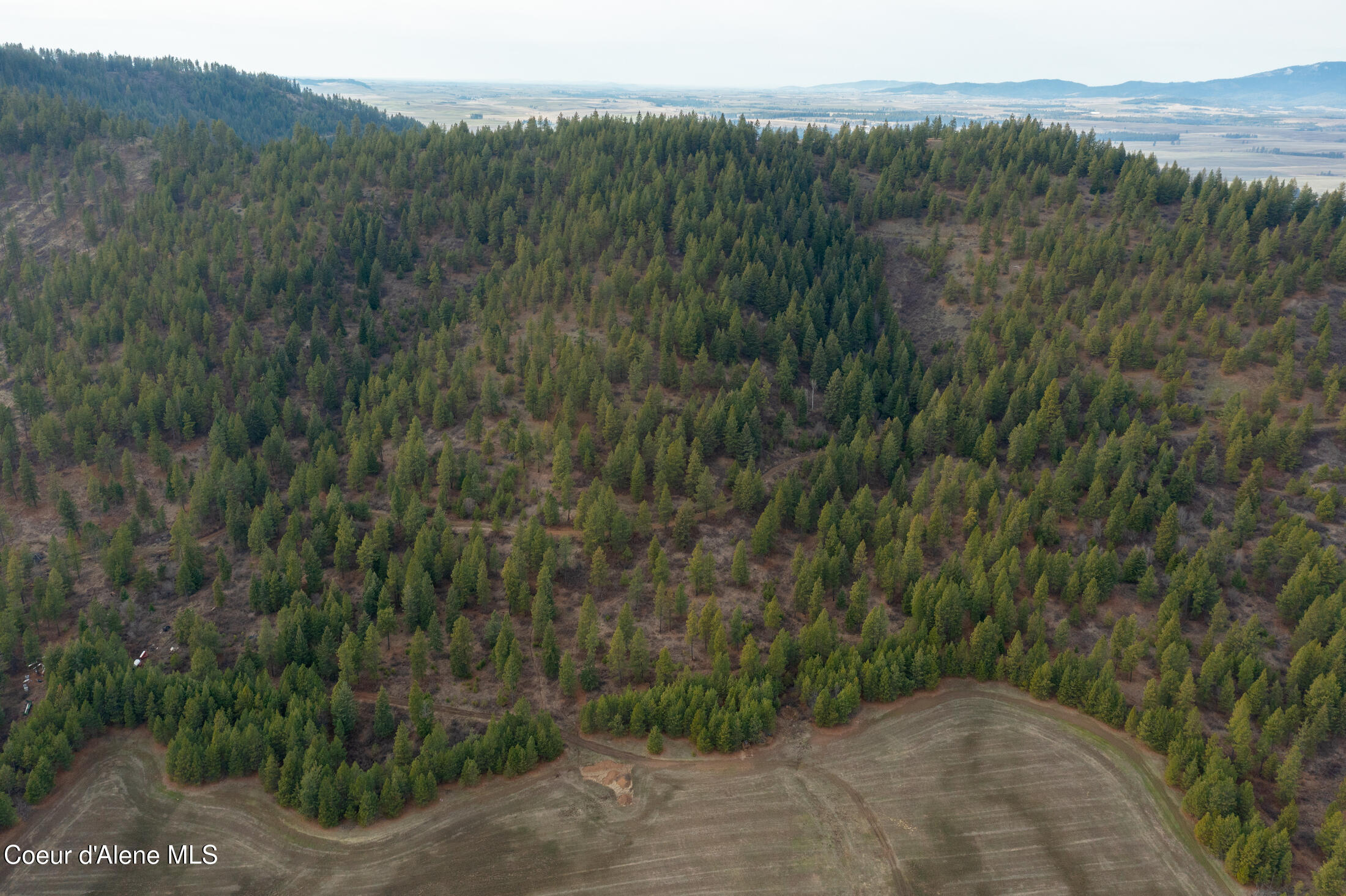 15 Acres Worley, ID 83876 - Photo 8 of 20 DJI_0284-HDR-4