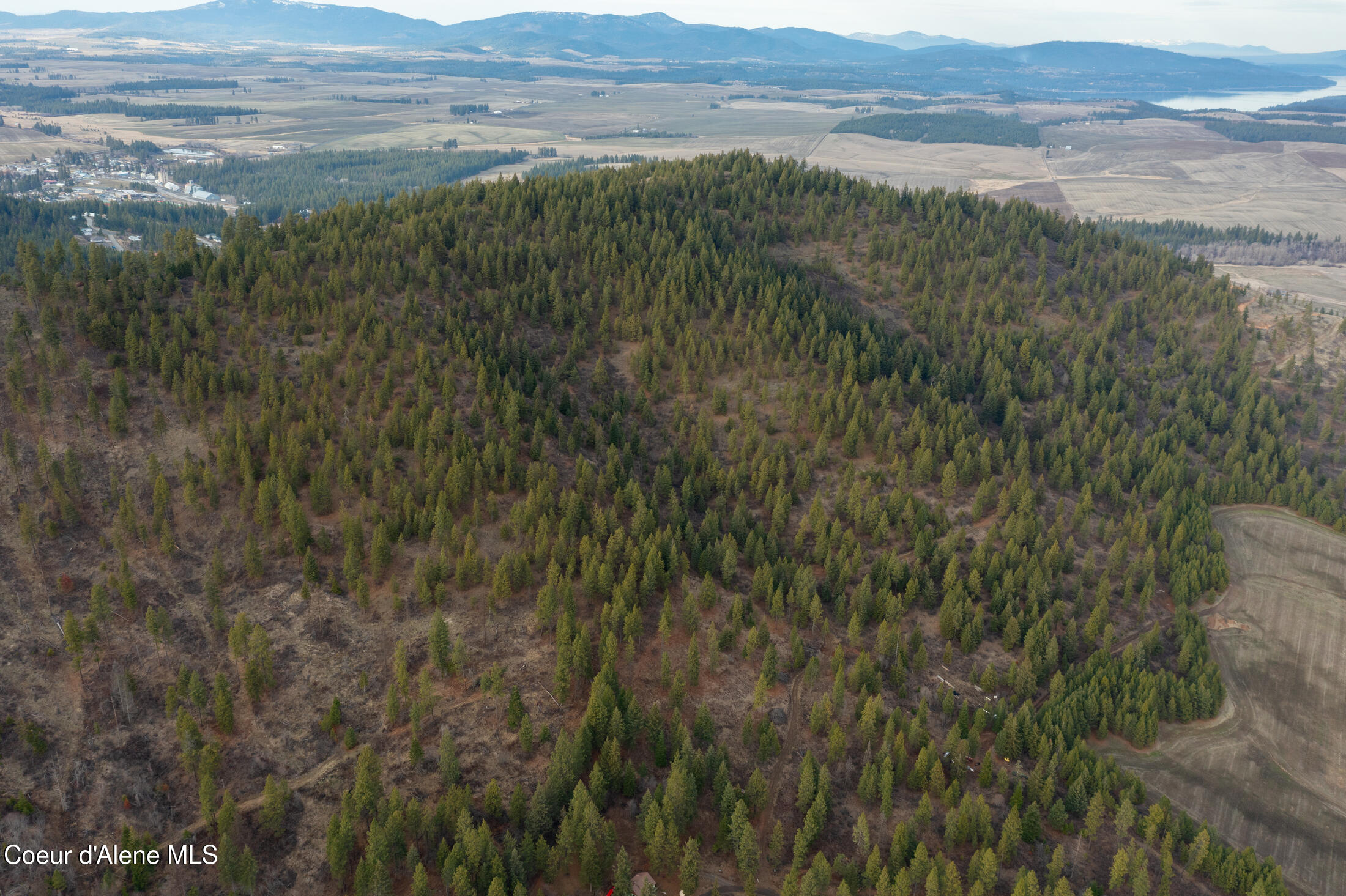15 Acres Worley, ID 83876 - Photo 9 of 20 DJI_0276-HDR-2