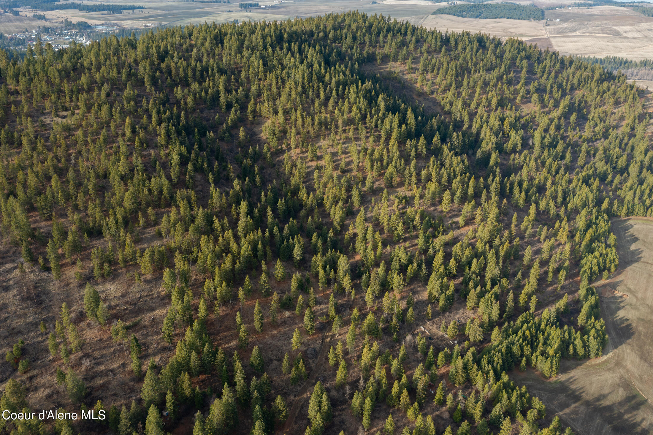 15 Acres Worley, ID 83876 - Photo 10 of 20 DJI_0362-HDR-10