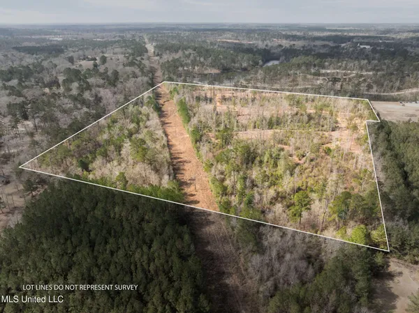 $249,500 | 36.08 Acres Placid Drive, Sumrall, MS 39482