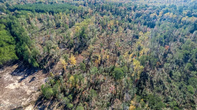$289,500 | 36.08 Acres Placid Drive, Sumrall, MS 39482