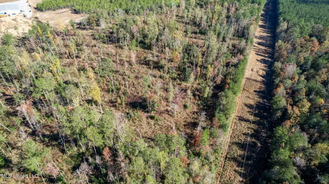 $289,500 | 36.08 Acres Placid Drive, Sumrall, MS 39482