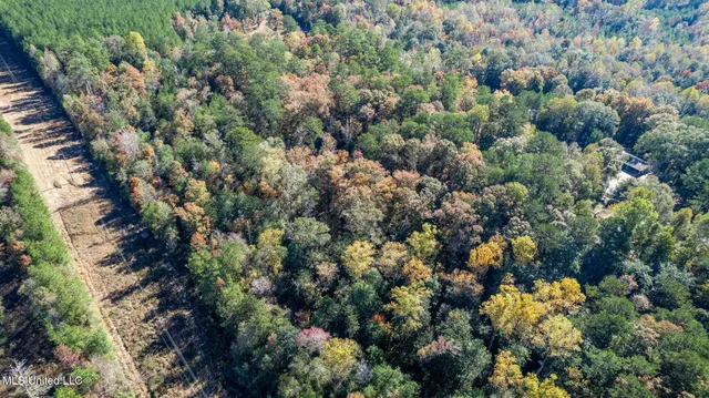 $289,500 | 36.08 Acres Placid Drive, Sumrall, MS 39482