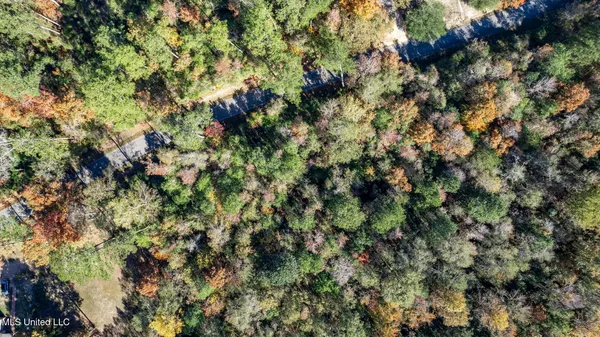 $249,500 | 36.08 Acres Placid Drive, Sumrall, MS 39482