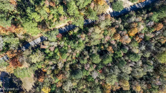 $289,500 | 36.08 Acres Placid Drive, Sumrall, MS 39482