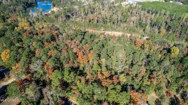 $249,500 | 36.08 Acres Placid Drive, Sumrall, MS 39482