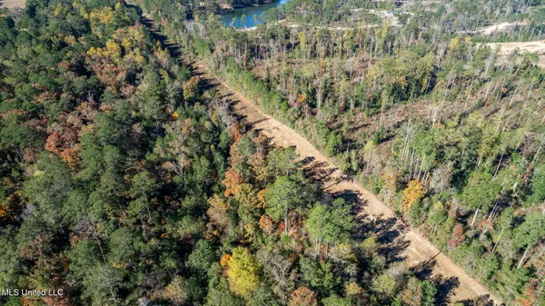 $249,500 | 36.08 Acres Placid Drive, Sumrall, MS 39482