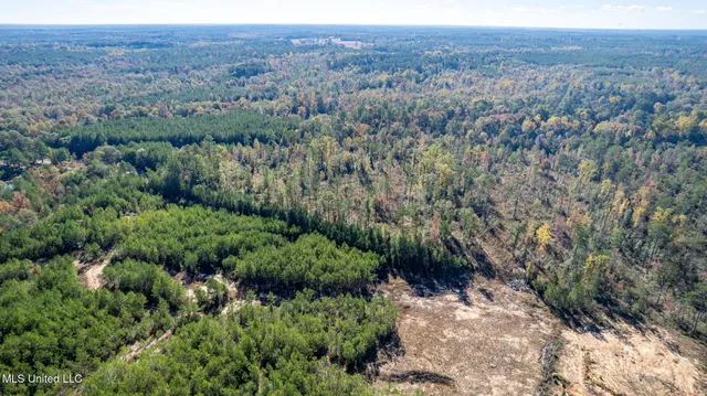 $289,500 | 36.08 Acres Placid Drive, Sumrall, MS 39482