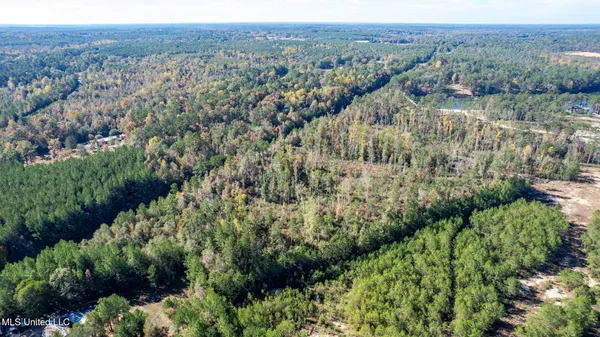$249,500 | 36.08 Acres Placid Drive, Sumrall, MS 39482