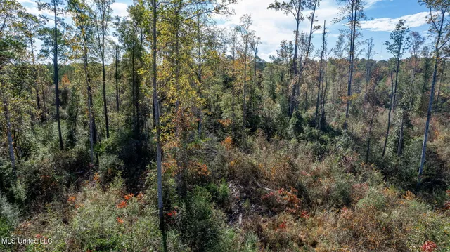 $289,500 | 36.08 Acres Placid Drive, Sumrall, MS 39482