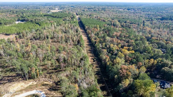 $249,500 | 36.08 Acres Placid Drive, Sumrall, MS 39482